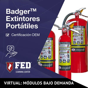 Cursos disponibles en Español