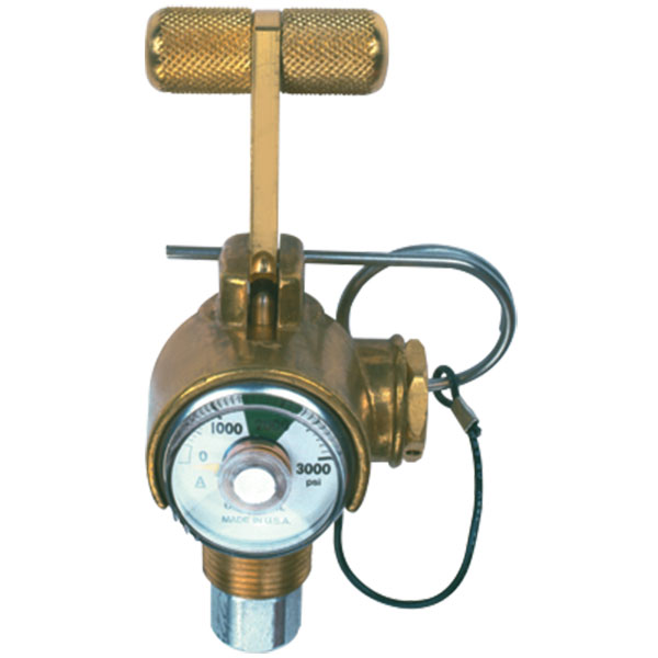 3/4" T-Handle Quick-Release Nitrogen Valve w/ Gauge