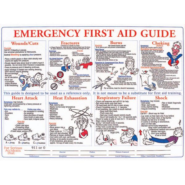 First Aid Training Safety Training Poster, 24" x 18"