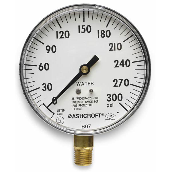 Plastic-Backed Water Gauge, 0-300 psi